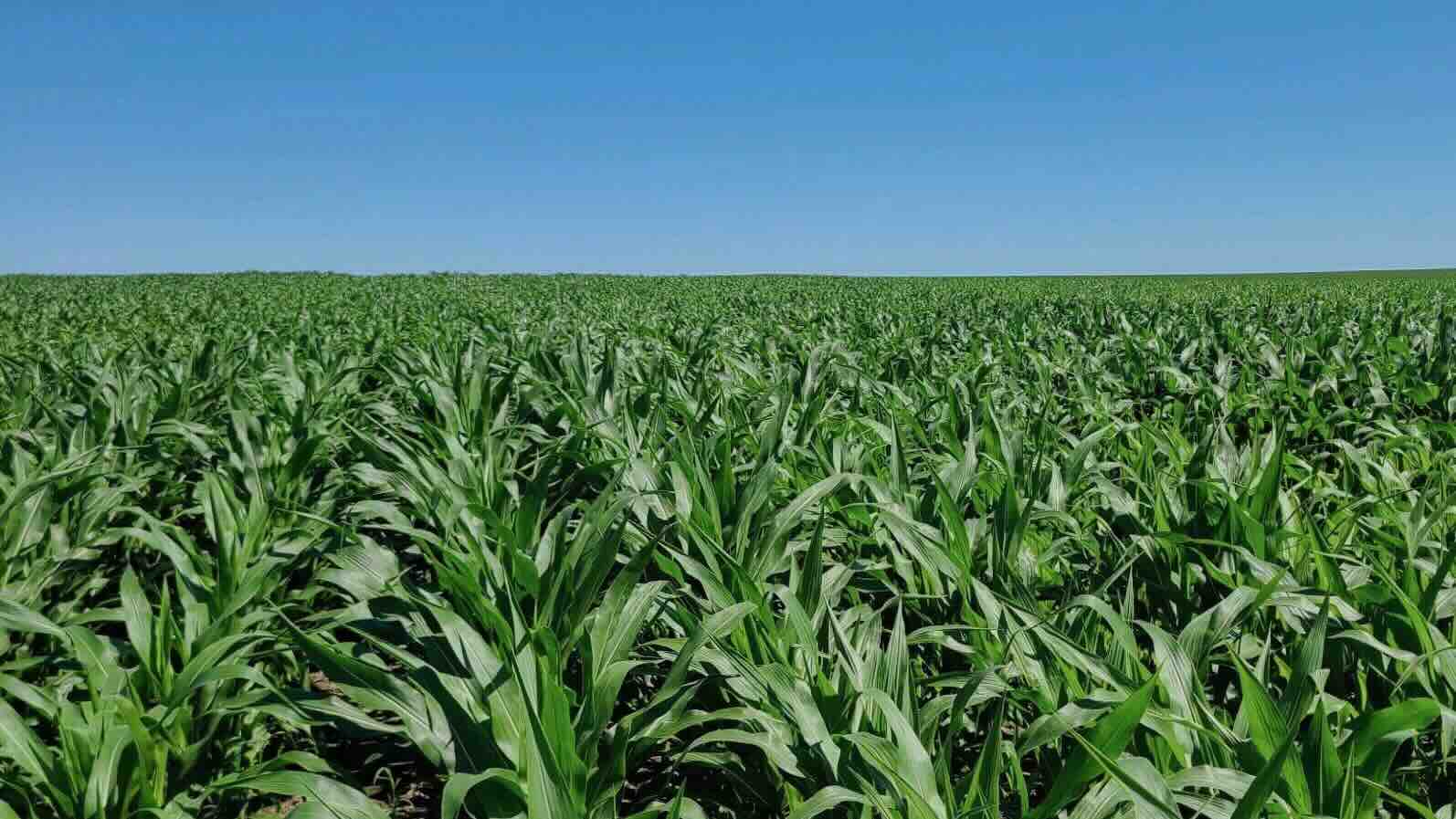 FIRST trials 2024 Program Guide