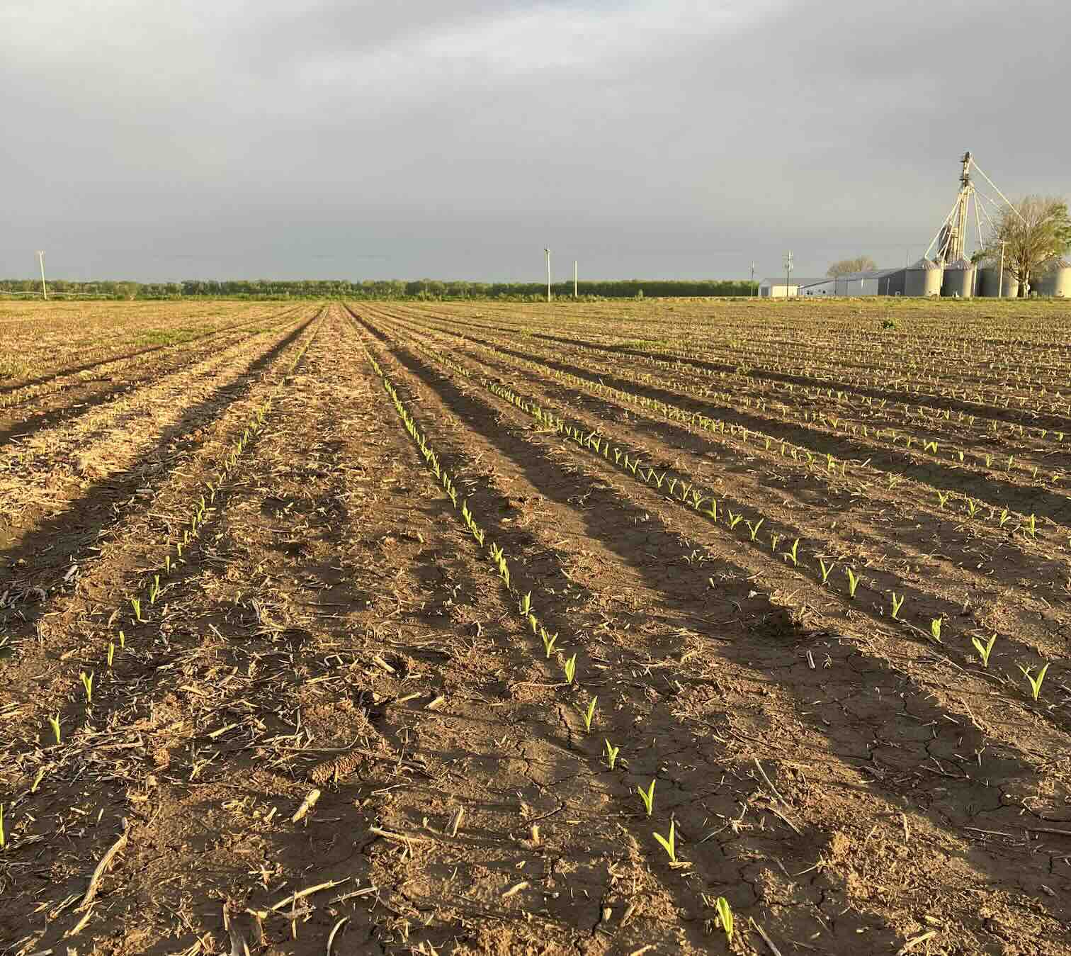 FIRST trials 2025 Program Guide